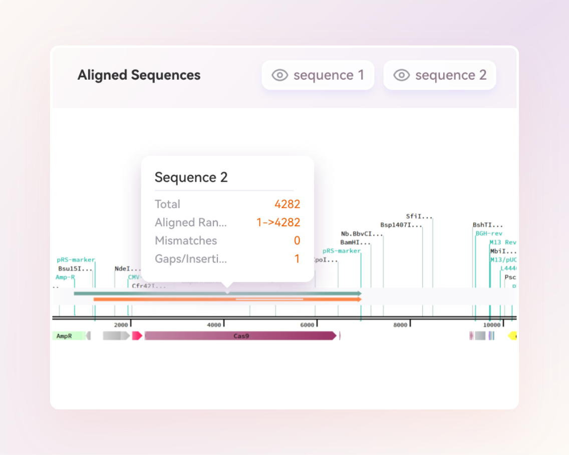 Complete molecular cloning workflow