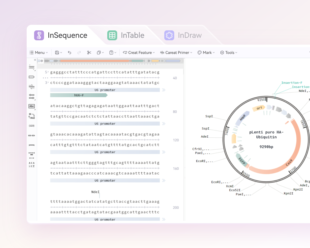 Multi-type sequence visualization and data management
