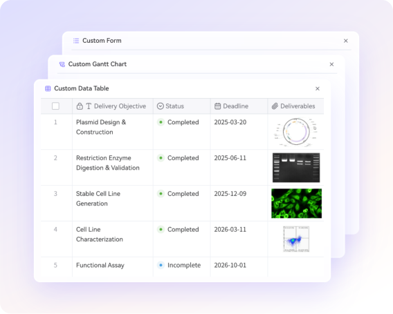 Customizable fields with personalized views